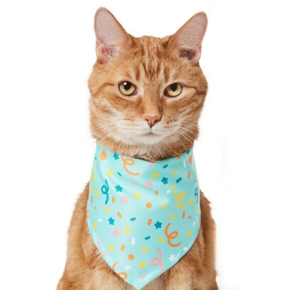 Frisco Pet Bandana Celebration Confetti Holiday Birthday M - L Cat Dog New - Picture 1 of 10